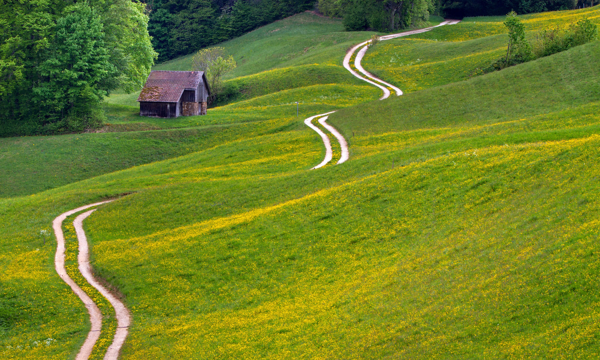 Hütte am Bergweg auf einer Bergwiese, Fotograf: adege, pixabay.com