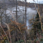 Novembernebel über der Wupper