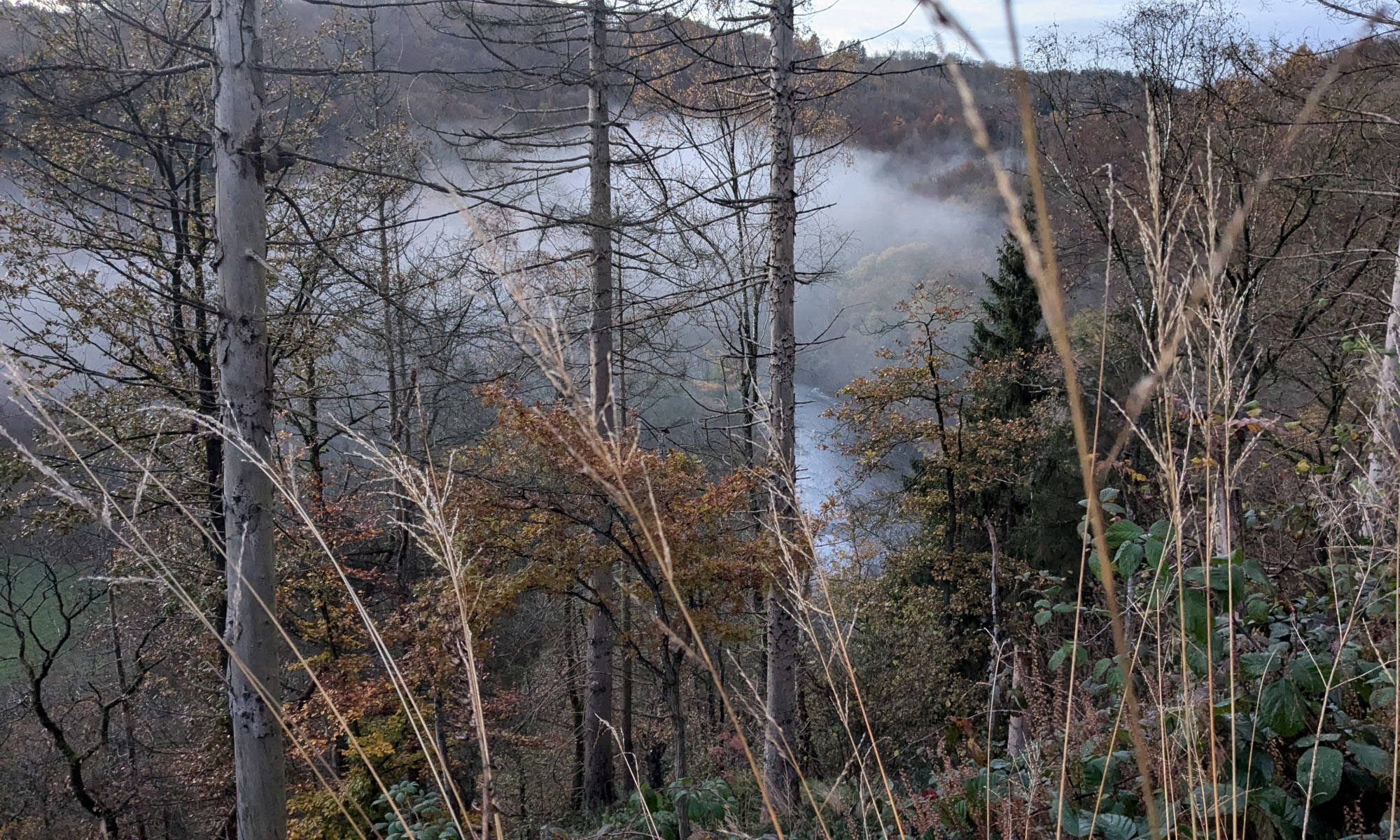 Novembernebel über der Wupper