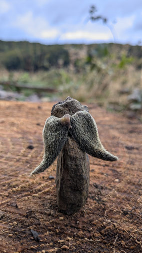 Ein Stein und eine geöffnete Samenkapsel ergeben zusammengesetzt einen kleinen Engel mit Flügeln