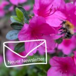 Im Artikel geht es um Newsletter Marketing. Das wird im Bild durch die Grafik eines Briefumschlags angedeutet, der von der Seite in das Bild geflogen kommt und auf dem steht Neuer Newsletter. Im Hintergrund rosa Blüten einer Azalee mit Biene