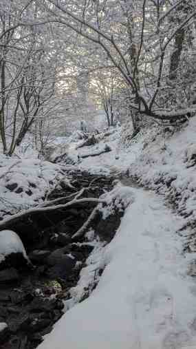 Ein verschneiter Pfad neben einem Bachlauf in Solingen Burg, Fotografin Dorothee Dickmann