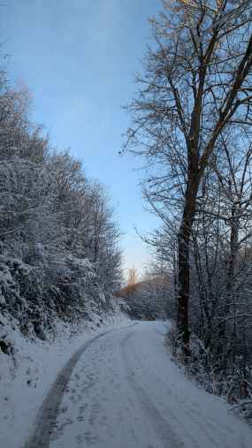 Ein verschneiter Waldweg in Solingen Burg
